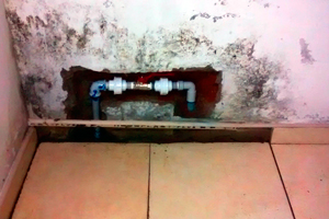 Gasfiteria
